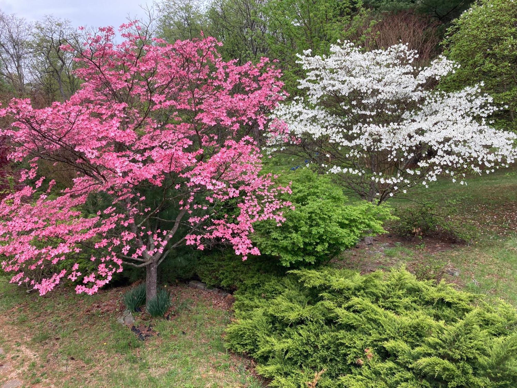 Purcellville Home Kültér fotó