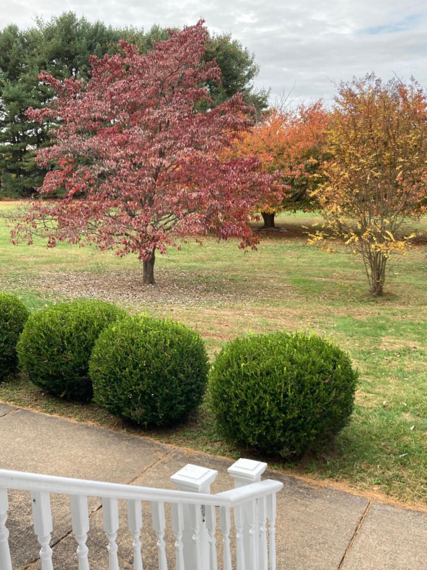 Purcellville Home Kültér fotó