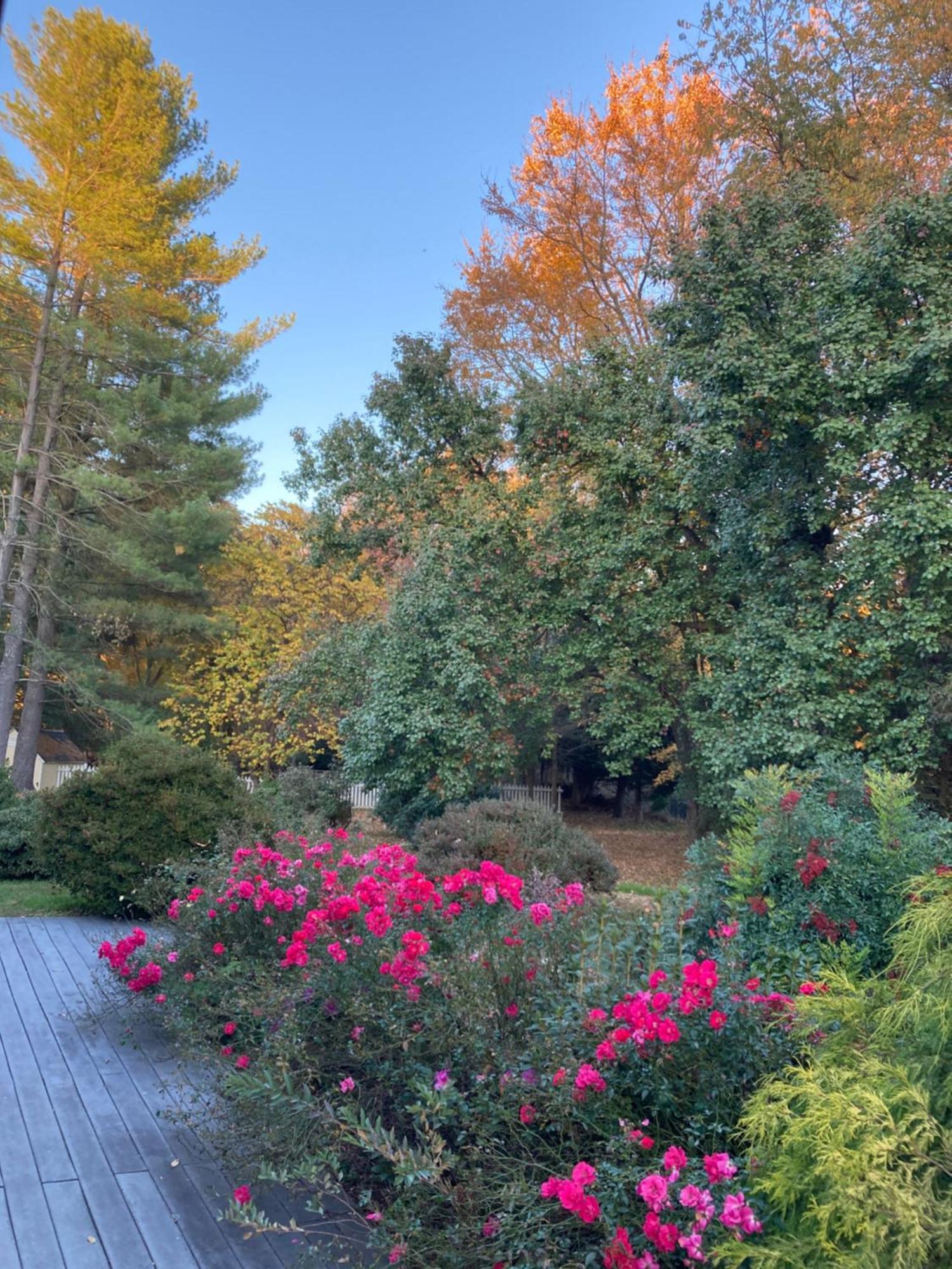 Purcellville Home Kültér fotó