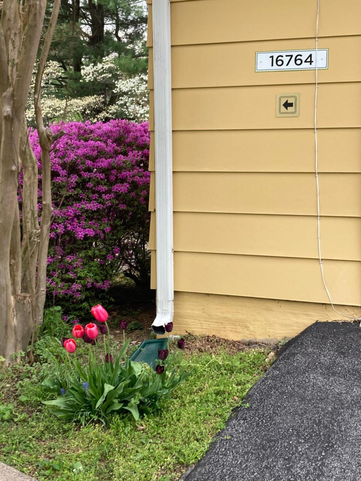 Purcellville Home Kültér fotó